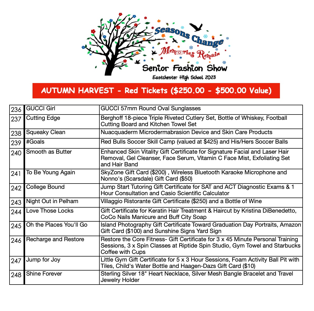Sneak Peek of Raffle Prizes for EHS Fashion Show – Eastchester High ...